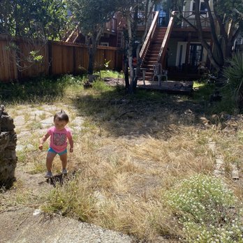 Smartscaping - Before picture of backyard - Landscaping Near Me - Berkeley, California Smartscaping - Before picture of backyard - Landscaping Near Me - Berkeley, California