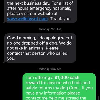 Welleby Veterinary Hospital - Veterinarians Near Me - Sunrise, Florida