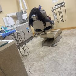 Premier Endodontists