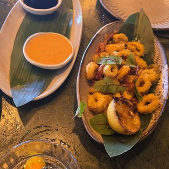 Toro Scottsdale - Crispy Calamari with Spicy Mayo dipping sauce and I believe a soy sauce reduction, not sure but it was tasty! - Latin American Near Me - Scottsdale, Arizona Toro Scottsdale - Crispy Calamari with Spicy Mayo dipping sauce and I believe a soy sauce reduction, not sure but it was tasty! - Latin American Near Me - Scottsdale, Arizona