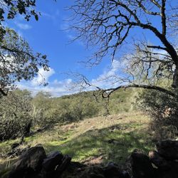 Sonoma Overlook Trail