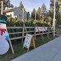 Photo of T & T Christmas Trees