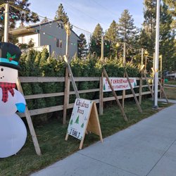 T & T Christmas Trees - Helping Families Make Holiday Memories for the Past 13 Years!