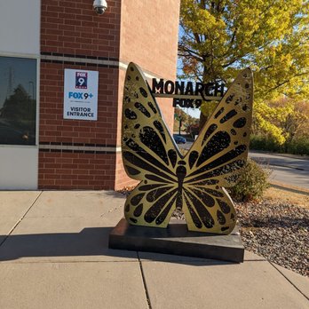 FOX 9 - KMSP - Monarch butterfly - Television Stations Near Me - Eden Prairie, Minnesota FOX 9 - KMSP - Monarch butterfly - Television Stations Near Me - Eden Prairie, Minnesota