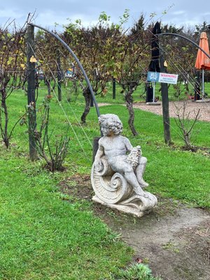 Wild Estate - The Untamed Winery by null