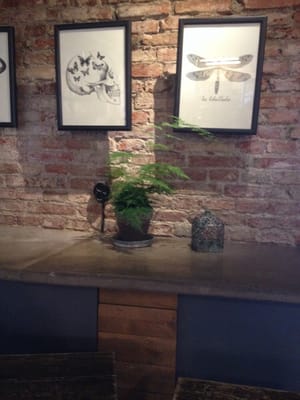 da Matteo Victoriapassagen by null