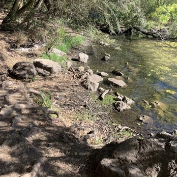 Lake Anza - Walking along the path - Lakes Near Me - Berkeley, California
