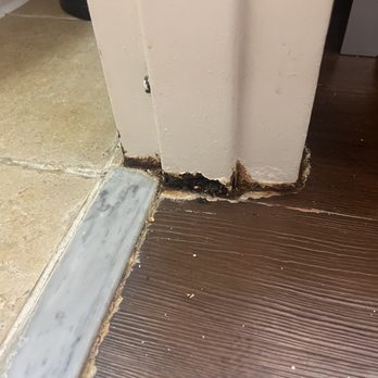 Hampton Inn Dalton - Rotting doorframe going into the bathroom. - Hotels Near Me - Dalton, Georgia