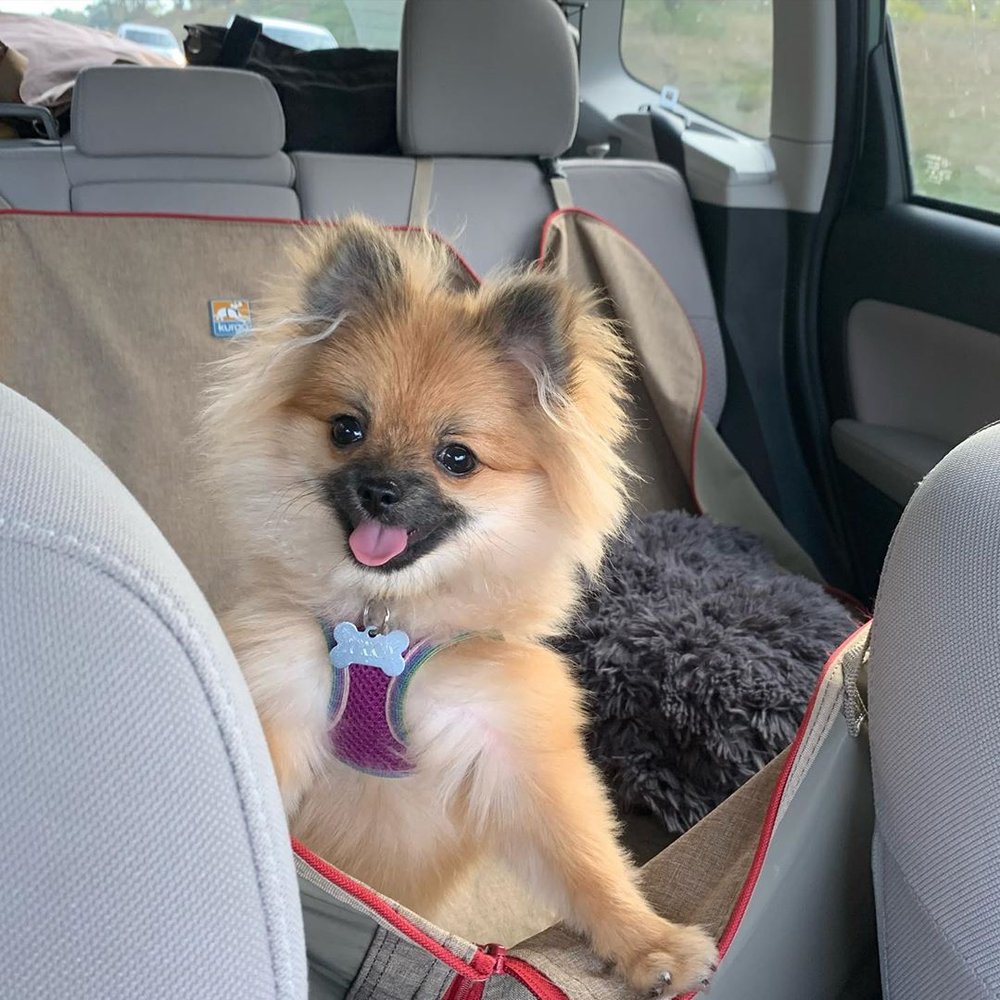 Turkey at 6 months old!
