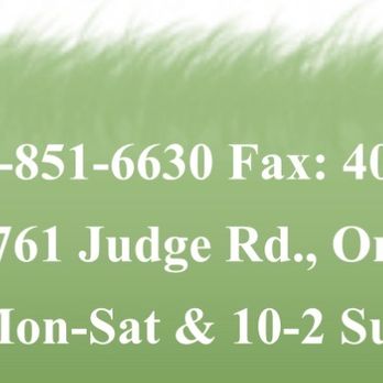 Palm Gardens Nursery - Their website clearly says they're open! SMH - Nurseries & Gardening Near Me - Orlando, Florida Palm Gardens Nursery - Their website clearly says they're open! SMH - Nurseries & Gardening Near Me - Orlando, Florida