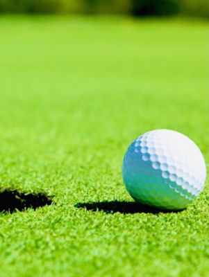Palmetto-Pine Country Club by null