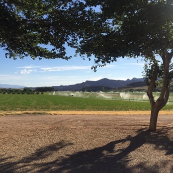 Zion West Rv Park - Alfalfa field - RV Parks Near Me - Leeds, Utah