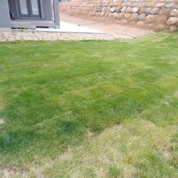 Phillips Turf Farm