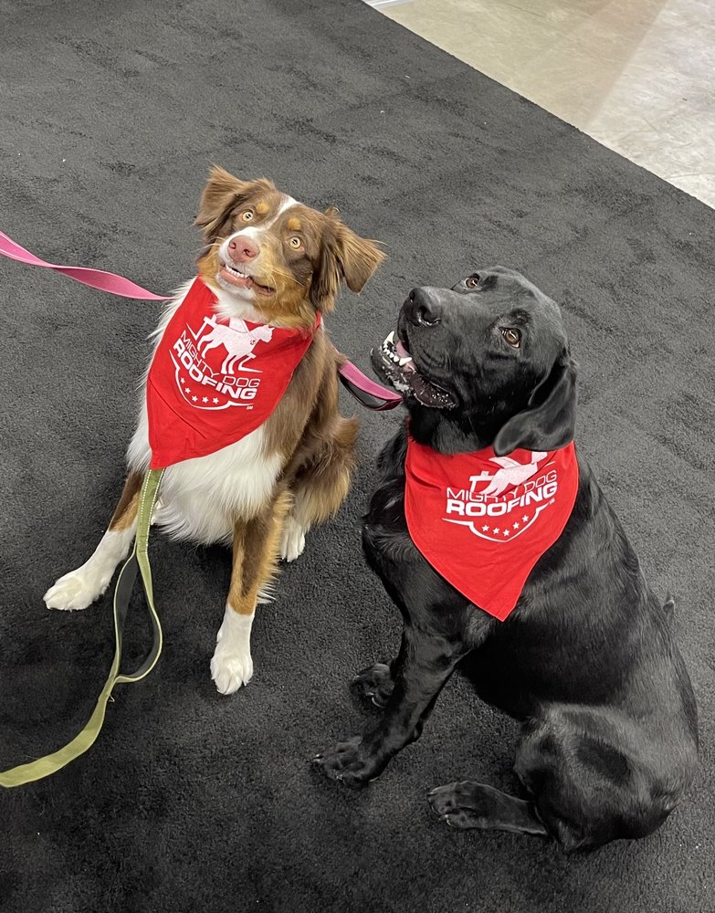 Slide of Mighty Dog Roofing of San Antonio