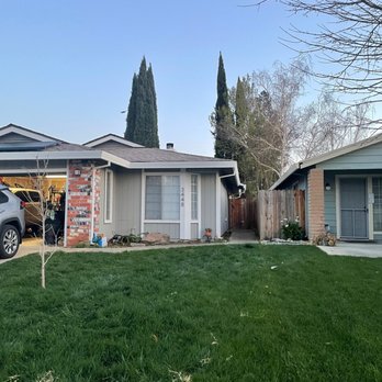 Delta Tree Service - Tree Services Near Me - Courtland, California Delta Tree Service - Tree Services Near Me - Courtland, California