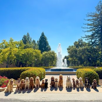 Luis the Pet Wiz - Pet Boarding Near Me - San Mateo, California