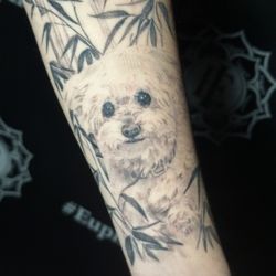 Euphoria Ink FL Tattoo Studio