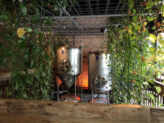 Young Blood Beer Company - King Street by null