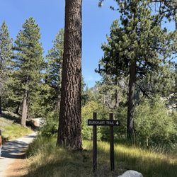 Buckhorn Campground