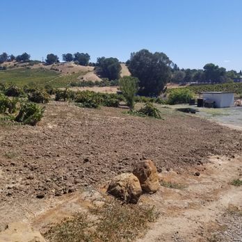 Viano Winery - Wineries Near Me - Martinez, California Viano Winery - Wineries Near Me - Martinez, California