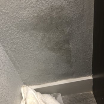 Weststar Property Management - Moldy bathroom. - Property Management Near Me - Gardena, California Weststar Property Management - Moldy bathroom. - Property Management Near Me - Gardena, California