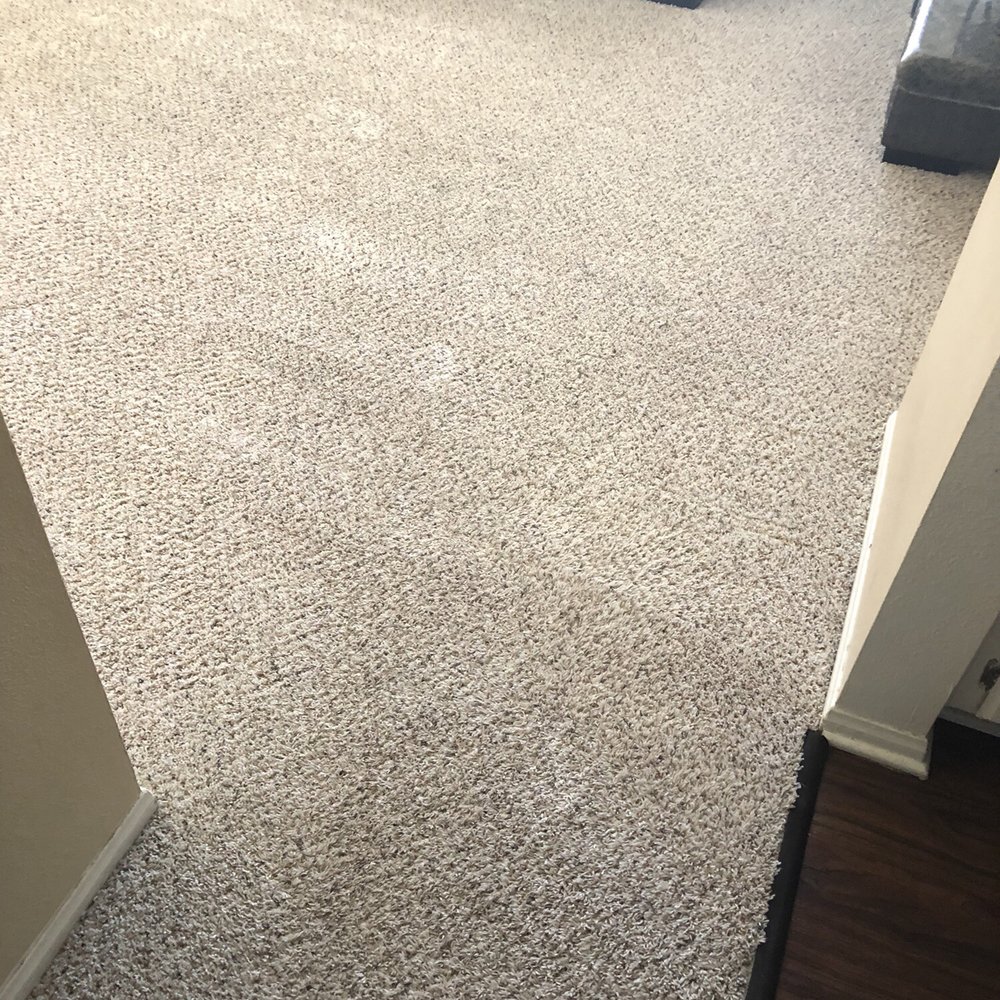 Exemplary Carpet Clean - After - living room - Carpet Cleaning Near Me