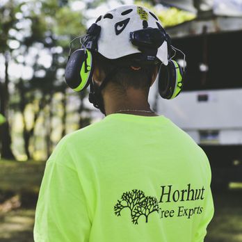 Horhut Tree Experts - Tree Services Near Me Horhut Tree Experts - Tree Services Near Me