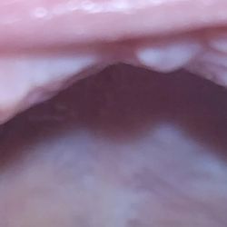 Elizabeth Family Dental