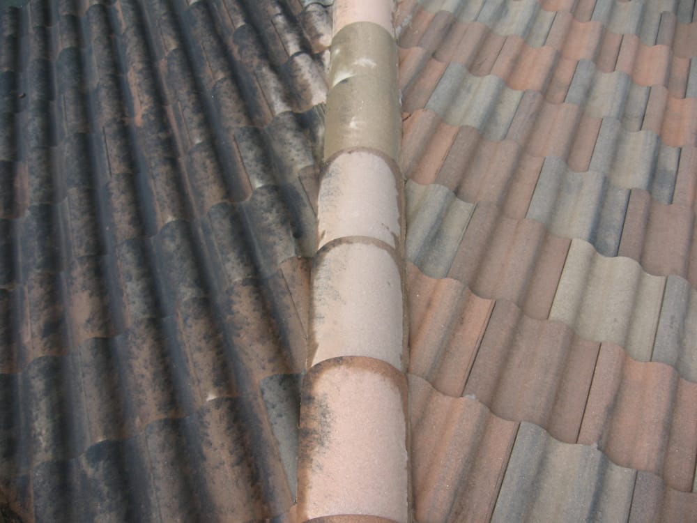 Slide of Ardor Roof Cleaning