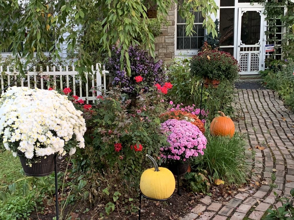 WHITE OAK GARDEN CENTER 75 Photos & 17 Reviews 3579 Blue Rock Rd