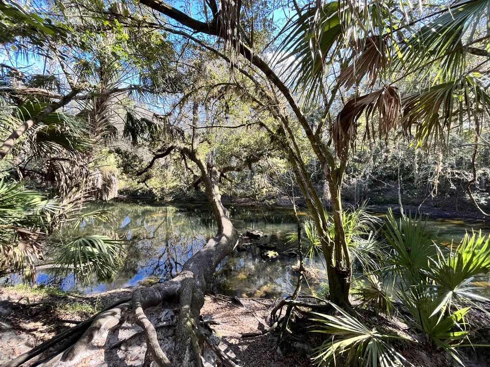 Social spots from Hillsborough State Park Poolside Cafe
