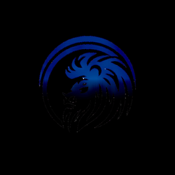 Digital Kings Networking