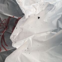 Floriberto's Mexican Food - More black flecks, not pepper, all inside the bag. Not that I eat the bag, but I just can't figure out what they are?