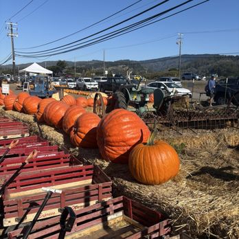 Farmer John's Pumpkin Farm - Pumpkin Patches Near Me - Half Moon Bay, California Farmer John's Pumpkin Farm - Pumpkin Patches Near Me - Half Moon Bay, California