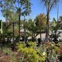 Photo of Whispering Tree Nursery