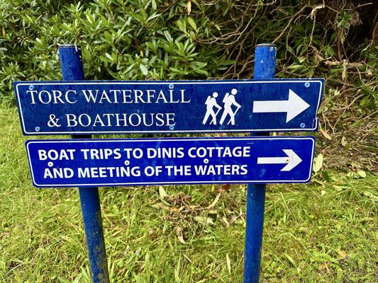 Killarney National Park by null