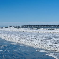 NMB Golf Cart Rentals