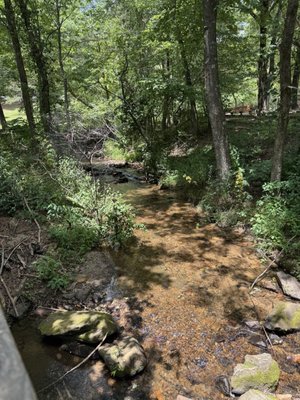 Amicalola Falls State Park by null