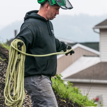 Love’s Tree Service - Tree Services Near Me - Maytown, Pennsylvania Love’s Tree Service - Tree Services Near Me - Maytown, Pennsylvania