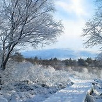 The Pines Cafe - winter is here! - Cafes Near Me - Bridgwater, SOM The Pines Cafe - winter is here! - Cafes Near Me - Bridgwater, SOM