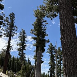 Sierra Buttes