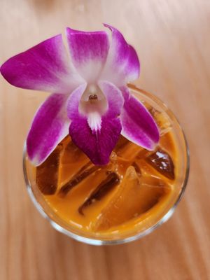 Osha Thai Montgomery by null