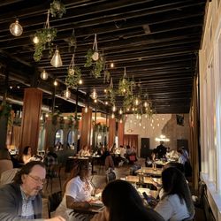 tonica - Restaurant