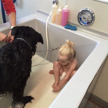 Suds Em Yourself - Pet Groomers Near Me - Eugene, Oregon Suds Em Yourself - Pet Groomers Near Me - Eugene, Oregon