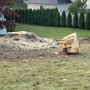 Palmer Tree Service - to grind - Tree Services Near Me - Framingham, Massachusetts