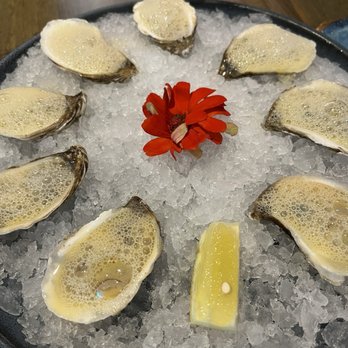 Pacha Nikkei - Oysters - Peruvian Near Me - Houston, Texas Pacha Nikkei - Oysters - Peruvian Near Me - Houston, Texas