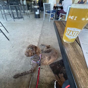 Fate Brewing Company - Tempe - Pet friendly! - Brewpubs Near Me - Tempe, Arizona