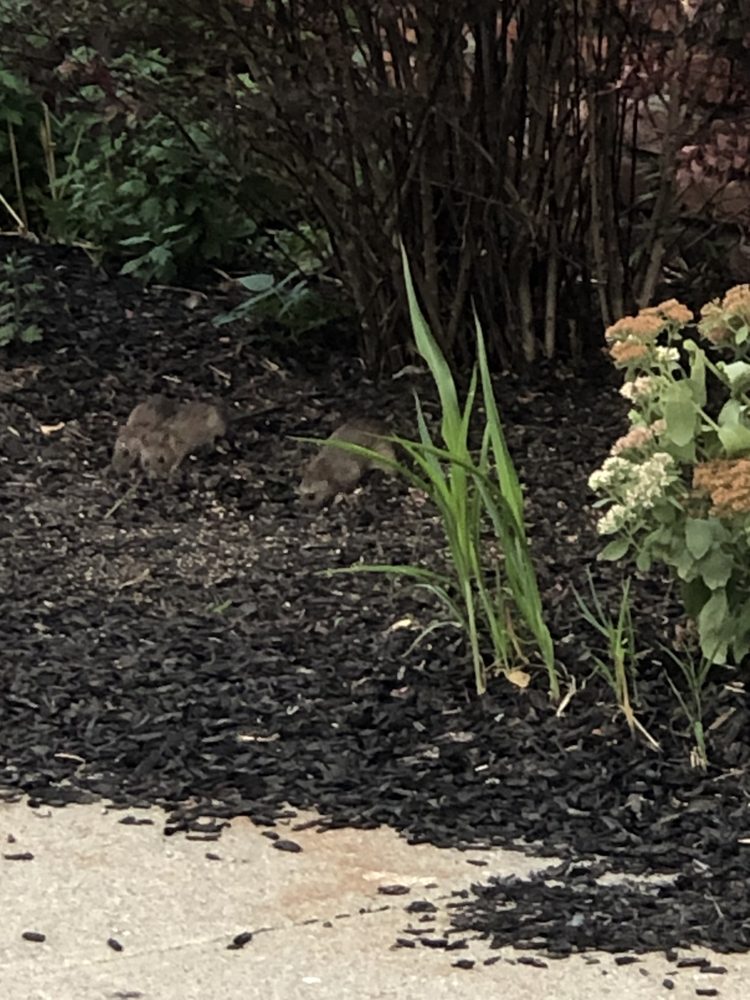 US POST OFFICE Updated April 2024 130 Firefighters Memorial Dr