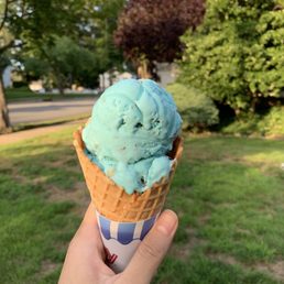 Cookie Monster Ice Cream