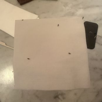 Hollow Pines - fruit flies in my expensive drink - Seafood Near Me - West Creek, New Jersey